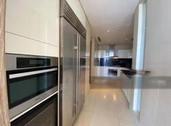 The Ritz-Carlton  (D9), Condominium #455333411